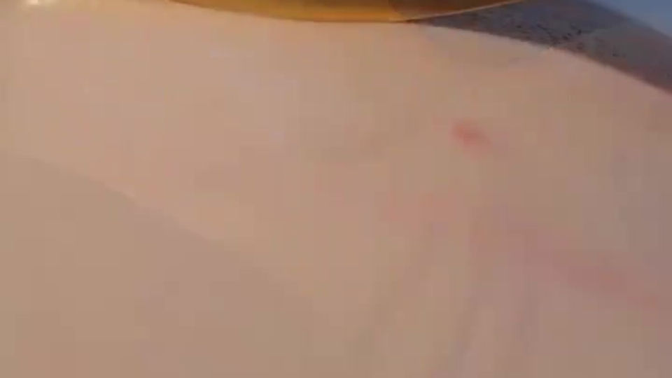 Meridian Detox Gua Sha